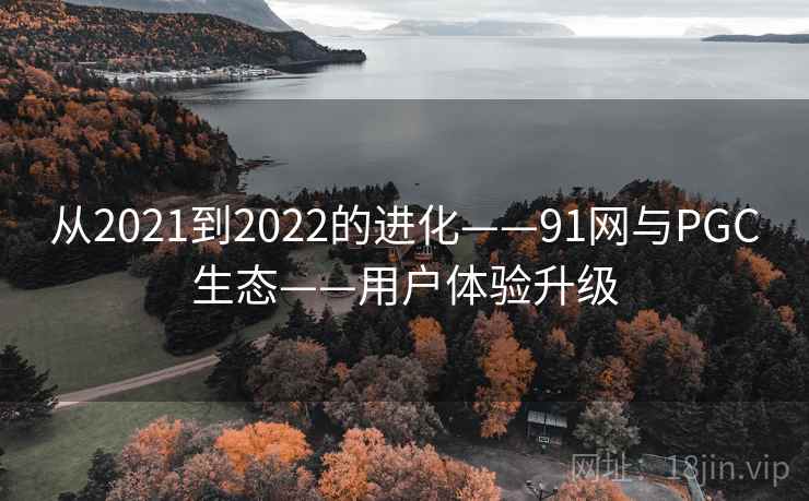 从2021到2022的进化——91网与PGC生态——用户体验升级 从2021到2022的进化——91网与PGC生态——用户体验升级