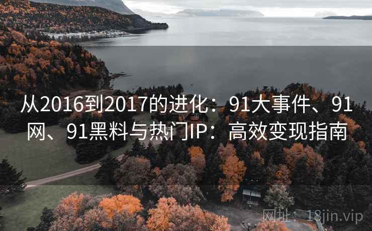 从2016到2017的进化：91大事件、91网、91黑料与热门IP：高效变现指南