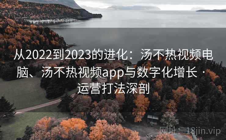 从2022到2023的进化:汤不热视频电脑、汤不热视频app与数字化增长 · 运营打法深剖 从2022到2023的进化:汤不热视频电脑、汤不热视频app与数字化增长 · 运营打法深剖