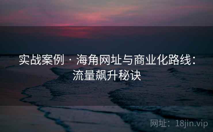 实战案例 · 海角网址与商业化路线：流量飙升秘诀