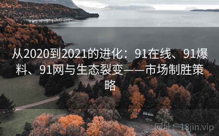 从2020到2021的进化：91在线、91爆料、91网与生态裂变——市场制胜策略