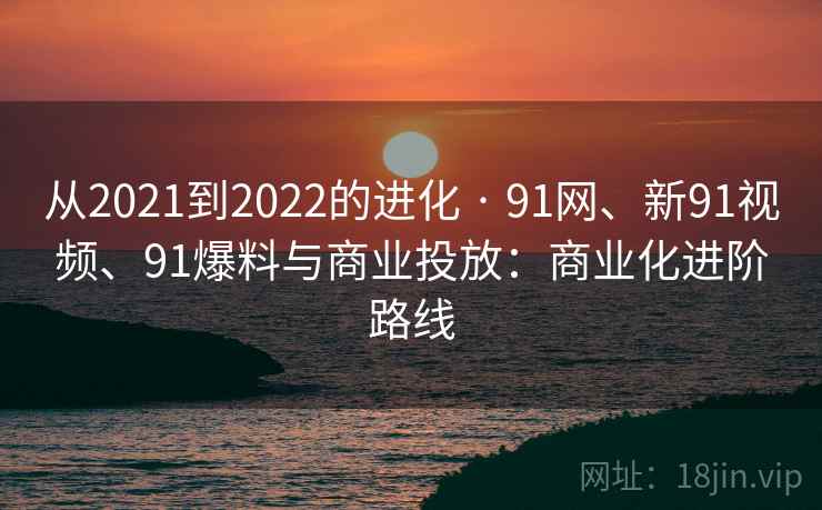 从2021到2022的进化 · 91网、新91视频、91爆料与商业投放：商业化进阶路线