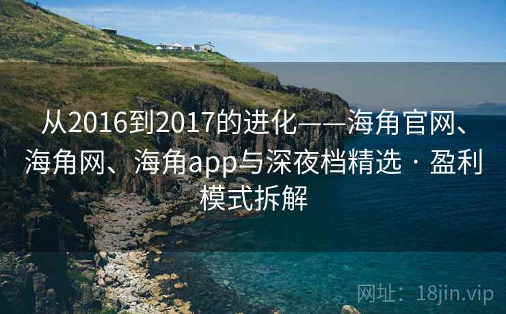 从2016到2017的进化——海角官网、海角网、海角app与深夜档精选 · 盈利模式拆解