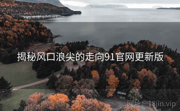 揭秘风口浪尖的走向91官网更新版 揭秘风口浪尖的走向91官网更新版