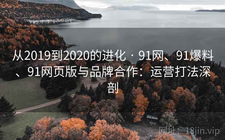 从2019到2020的进化 · 91网、91爆料、91网页版与品牌合作：运营打法深剖